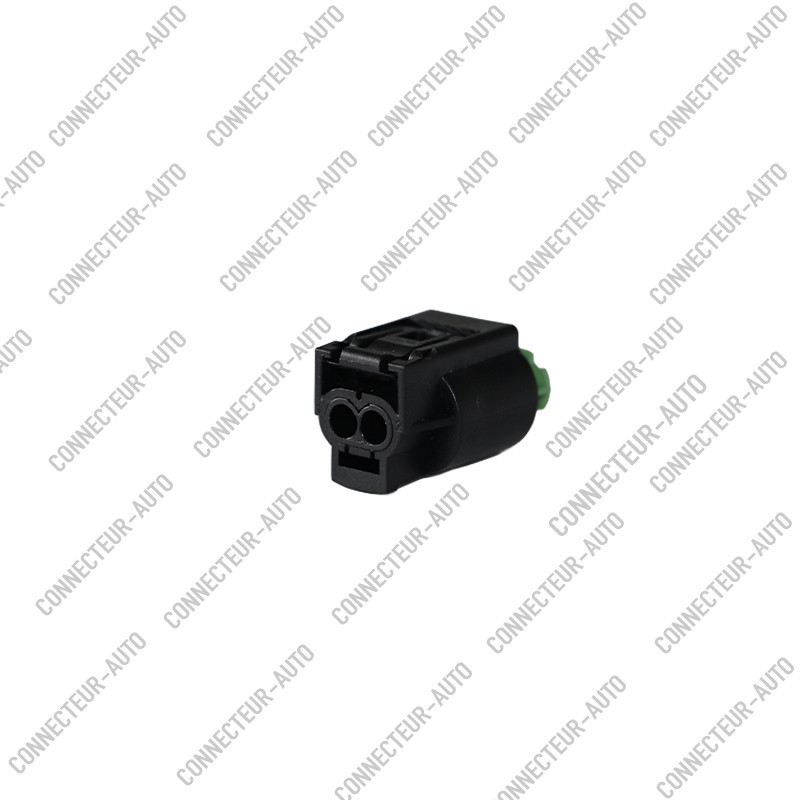 CONNECTEUR 2 VOIES AVEC VERROU VERT